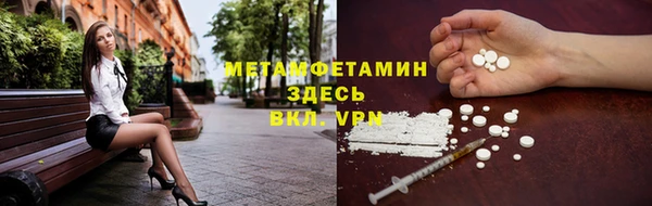 прущие грибы Богородицк