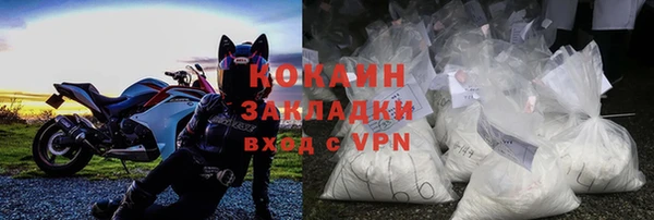 прущие грибы Богородицк