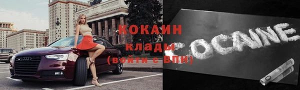 прущие грибы Богородицк