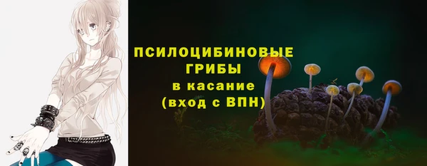 прущие грибы Богородицк