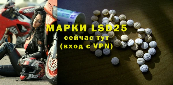 прущие грибы Богородицк