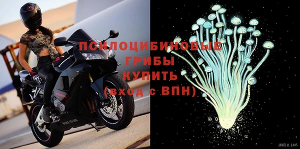 mix Богородск