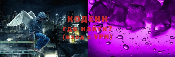 прущие грибы Богородицк