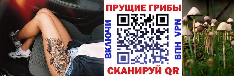 Галлюциногенные грибы Cubensis  Старый Оскол 